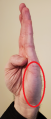 Thumbnail for version as of 02:23, 18 April 2020